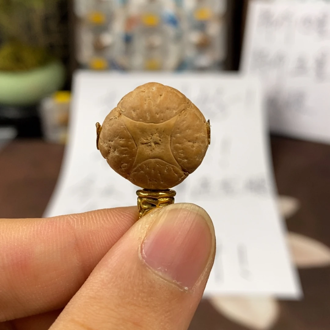 吊坠凤眼菩提19麒麟单颗