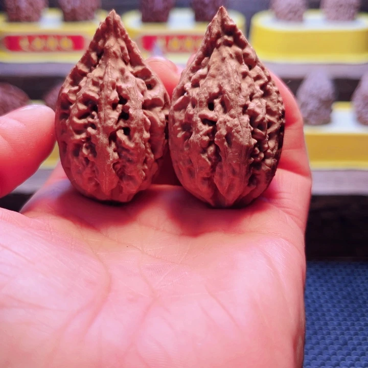 核桃2号车放漏漏咯呀