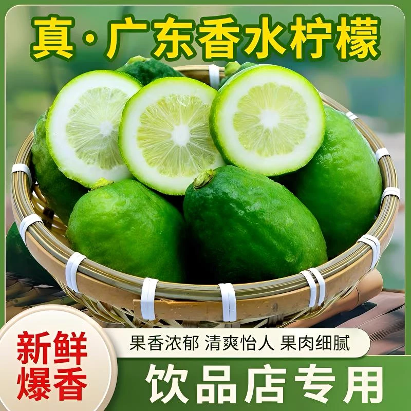 【20斤专用】广东香水柠檬新鲜一级果大果应当季水果无籽多汁青柠檬奶茶店专用广东省