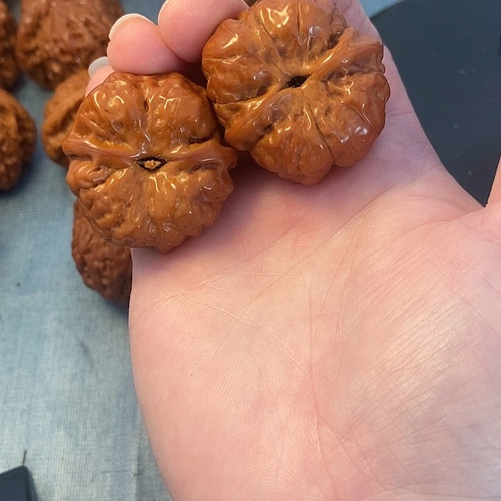 二***六哈么头狮子头36小尺寸