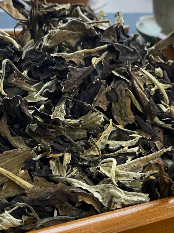 云南老白茶 秧塔白茶 牡丹月光白250克散茶