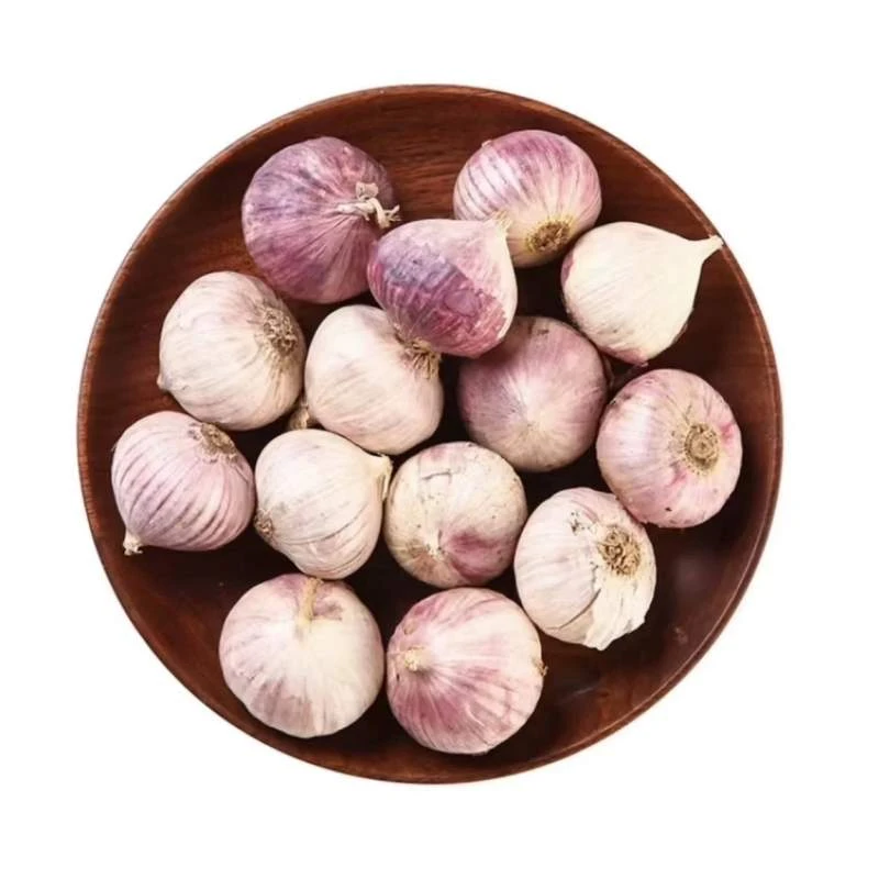 独蒜  约500g