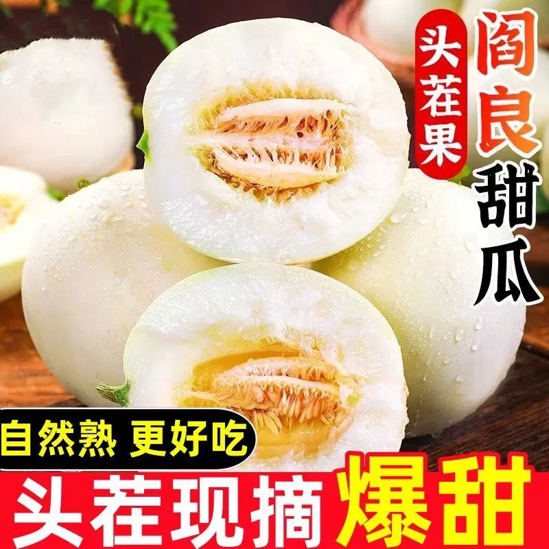 陕西阎良头茬小籽甜瓜4.5斤 新鲜应季水果香甜多汁
