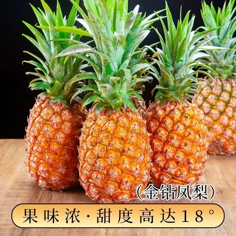 源头直发海南金钻凤梨新鲜果清甜多汁自然成熟【严选包邮】