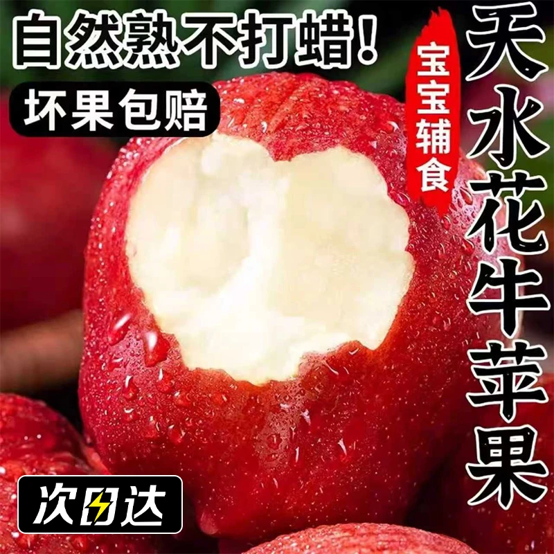 【次日送达】正宗甘肃天水花牛苹果粉脆两吃当季新鲜水果9.22甘肃省