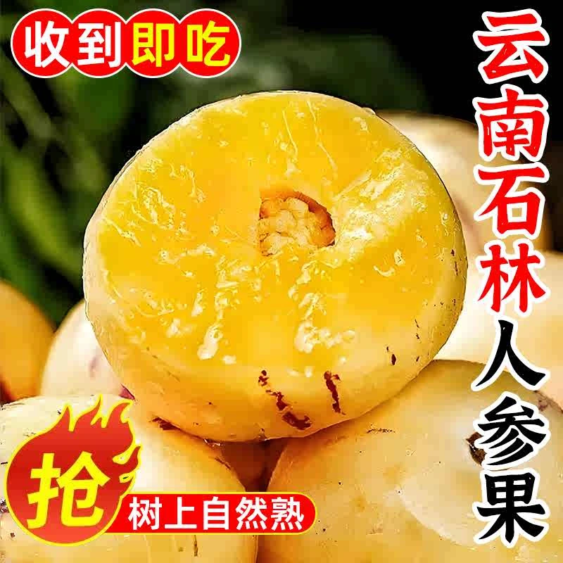 云南石林人参果新鲜树上熟低糖水果甘甜可口