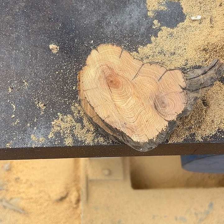 柏木南太行崖柏切片