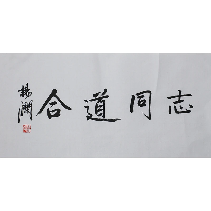  C483 杨澜书法软片 69cm×35cm