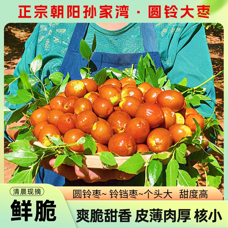 朝阳大枣圆铃铃铛枣金铃圆大铃铛枣甜枣鲜枣红枣正宗新枣脆枣特产