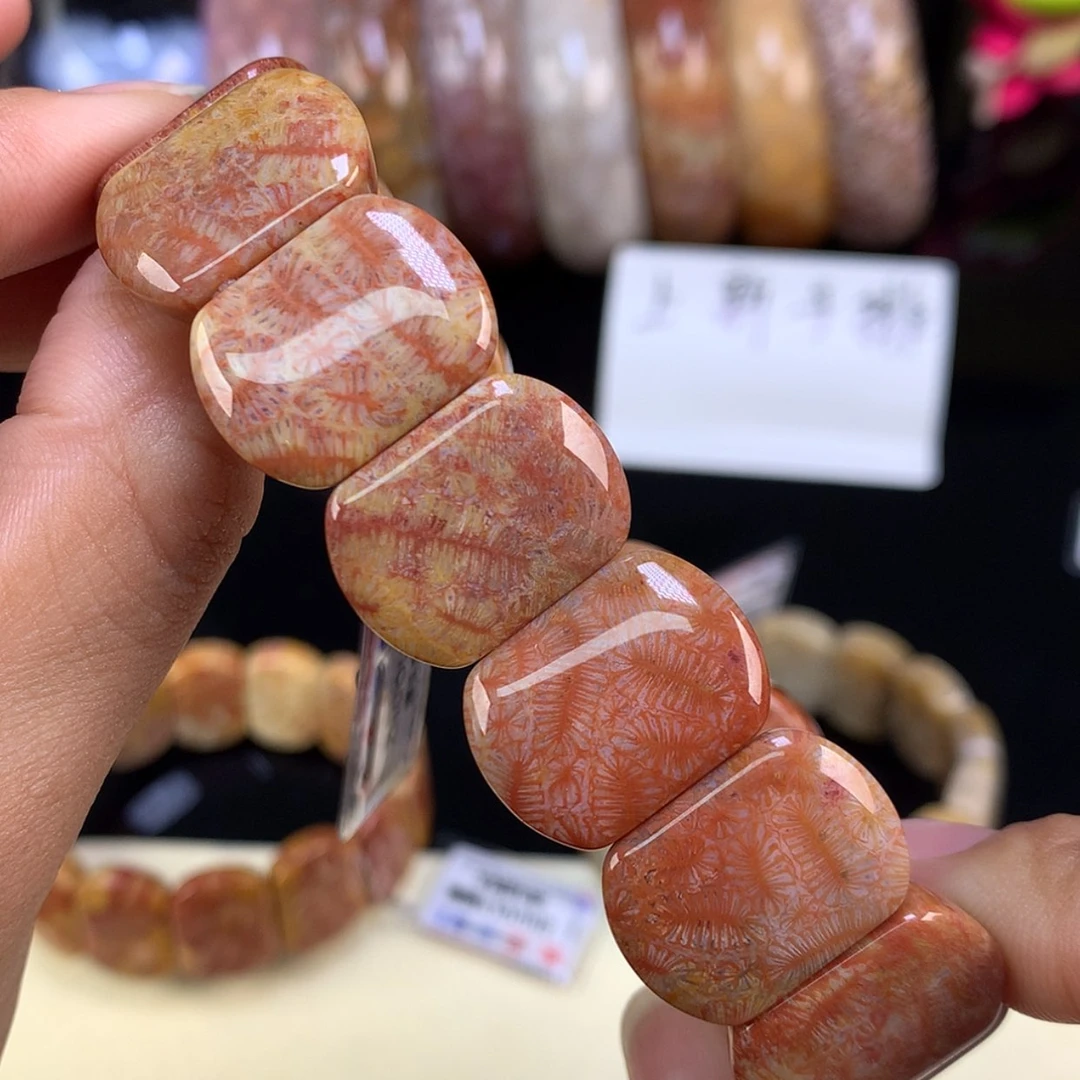 【闪购商品】颈饰未镶嵌硅化珊瑚（珊瑚玉）（3号）上新手排