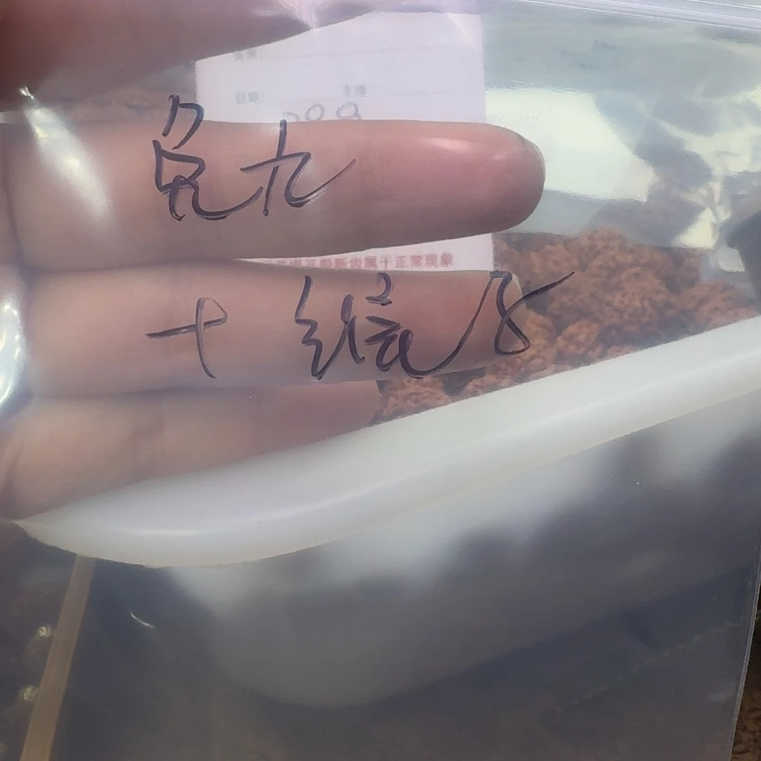 金刚菩提吊坠兔*60颗不挑福利款自己回去精挑