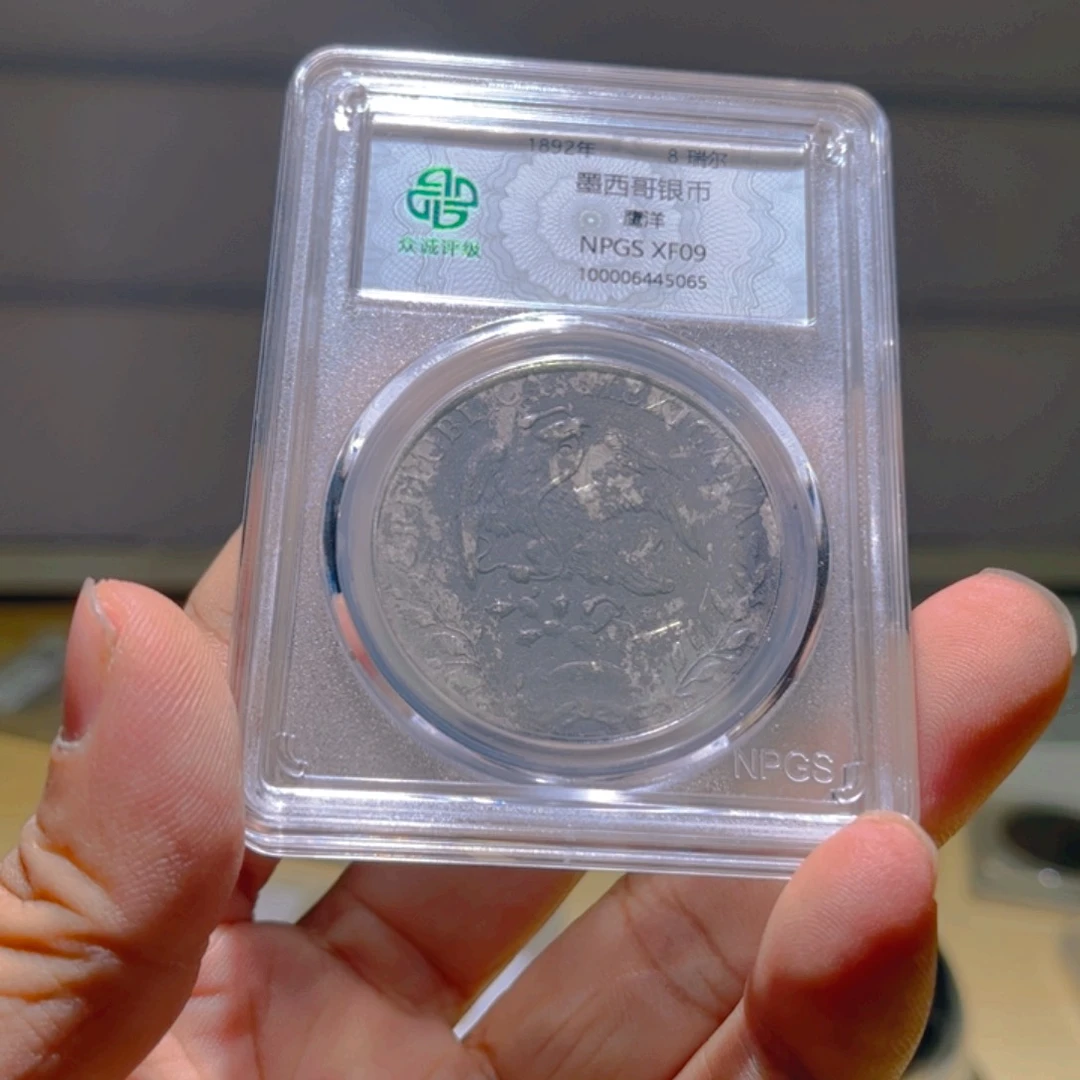 银冷*大神一一一一一一一老鹰