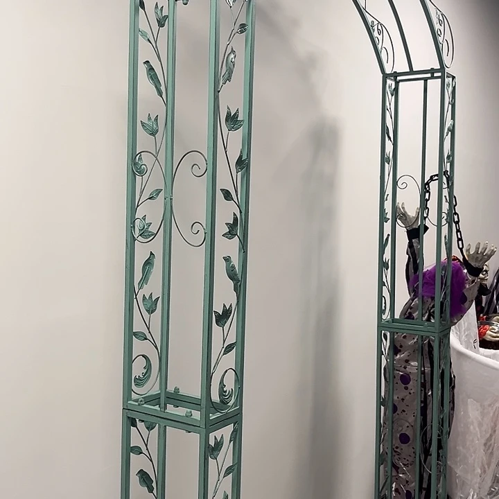 孤品给力炸炸炸炸