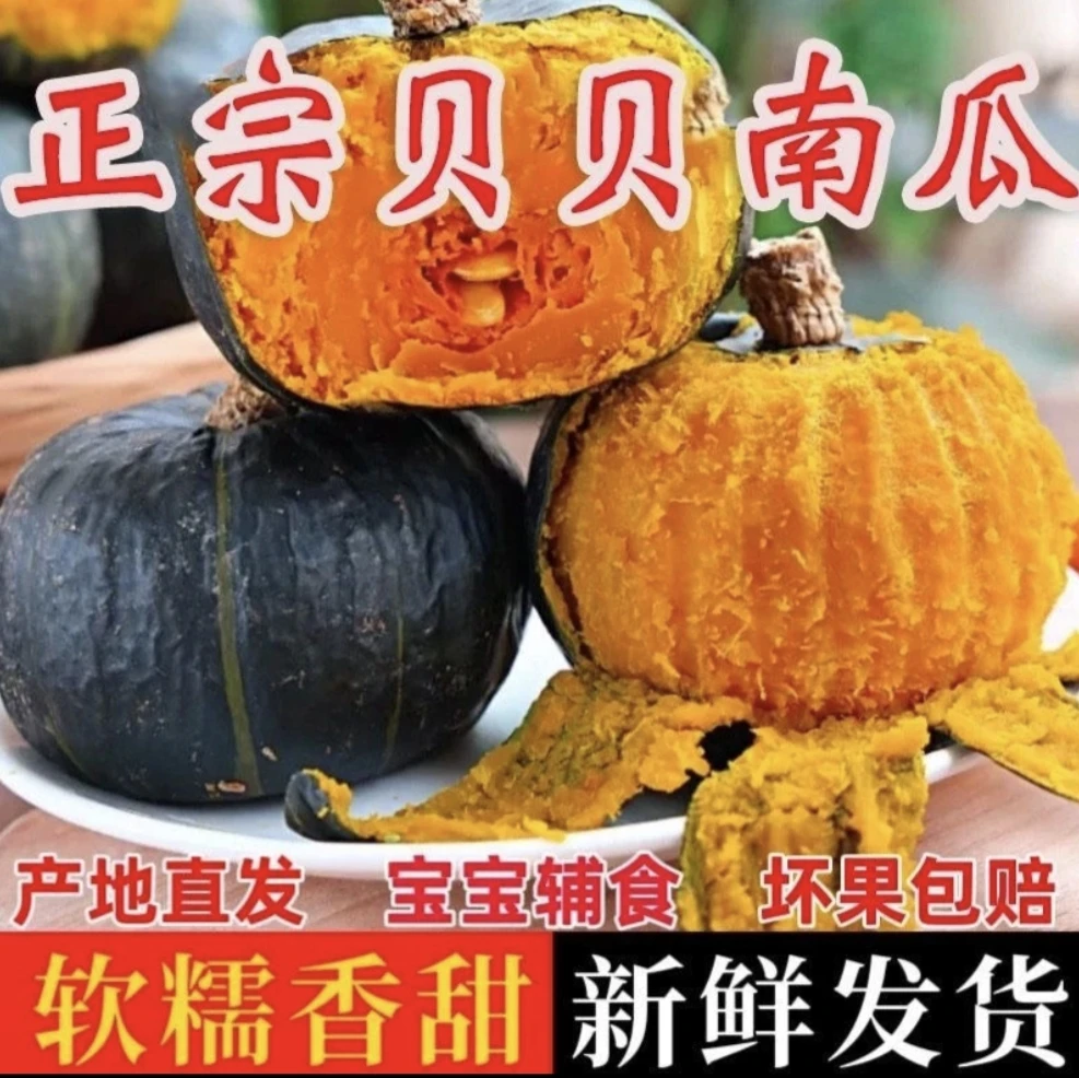 【亏本5斤】贝贝南瓜5斤装粗粮宝宝辅食粉面香甜板栗味小南瓜健身