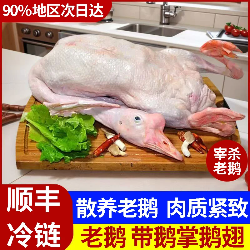 老鹅整只现杀新鲜散养正宗大鹅农家鹅肉土鹅散养白鹅生鲜铁锅大鹅
