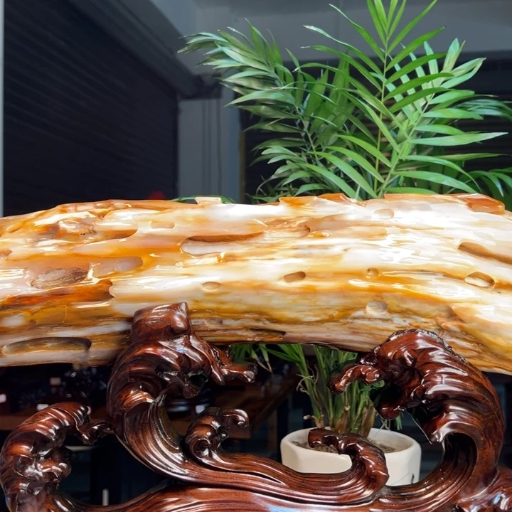 硅化玉（树化玉）未镶嵌珠宝奇石