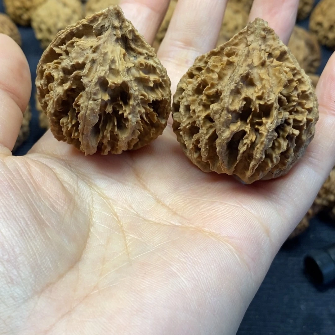 吊坠文玩核桃菊花38