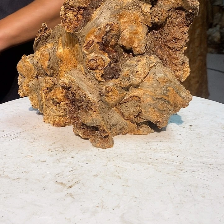 森***林我们都是你的粉丝5