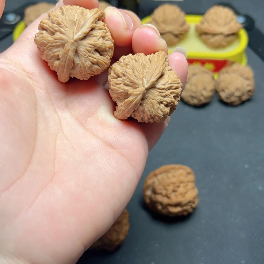 文玩核桃全品35尺白狮子