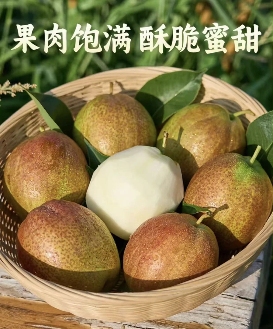 媚梨7号皮薄肉厚脆甜多汁产地直发坏果包赔A