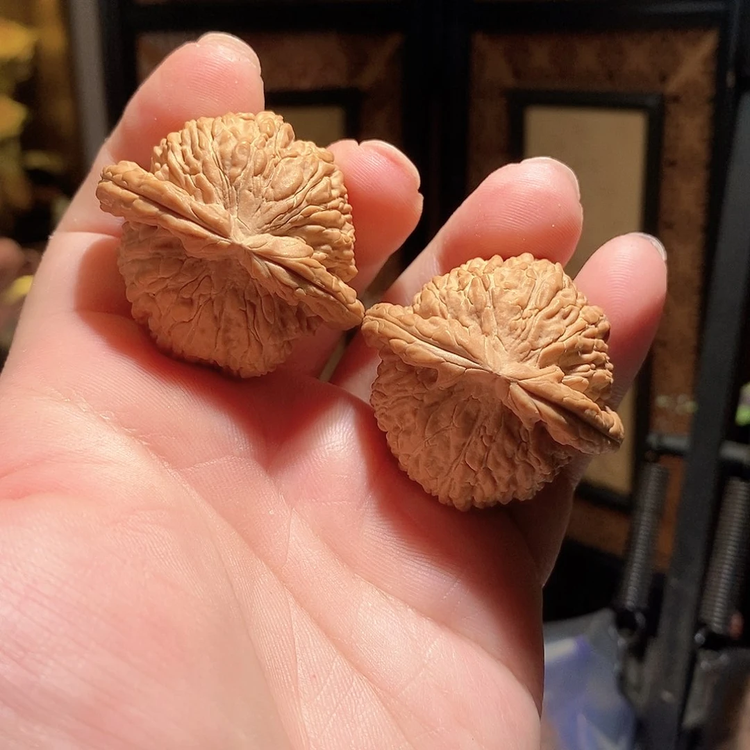 文玩核桃把件42白狮子全品