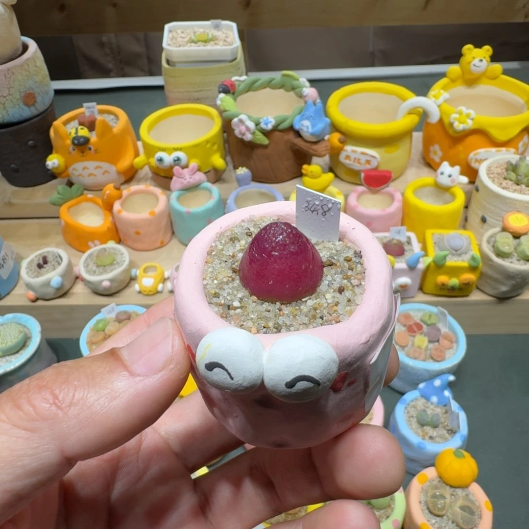 红陶九*。蘑菇567灯泡