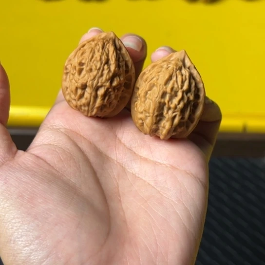 吊坠文玩核桃野鸡心31