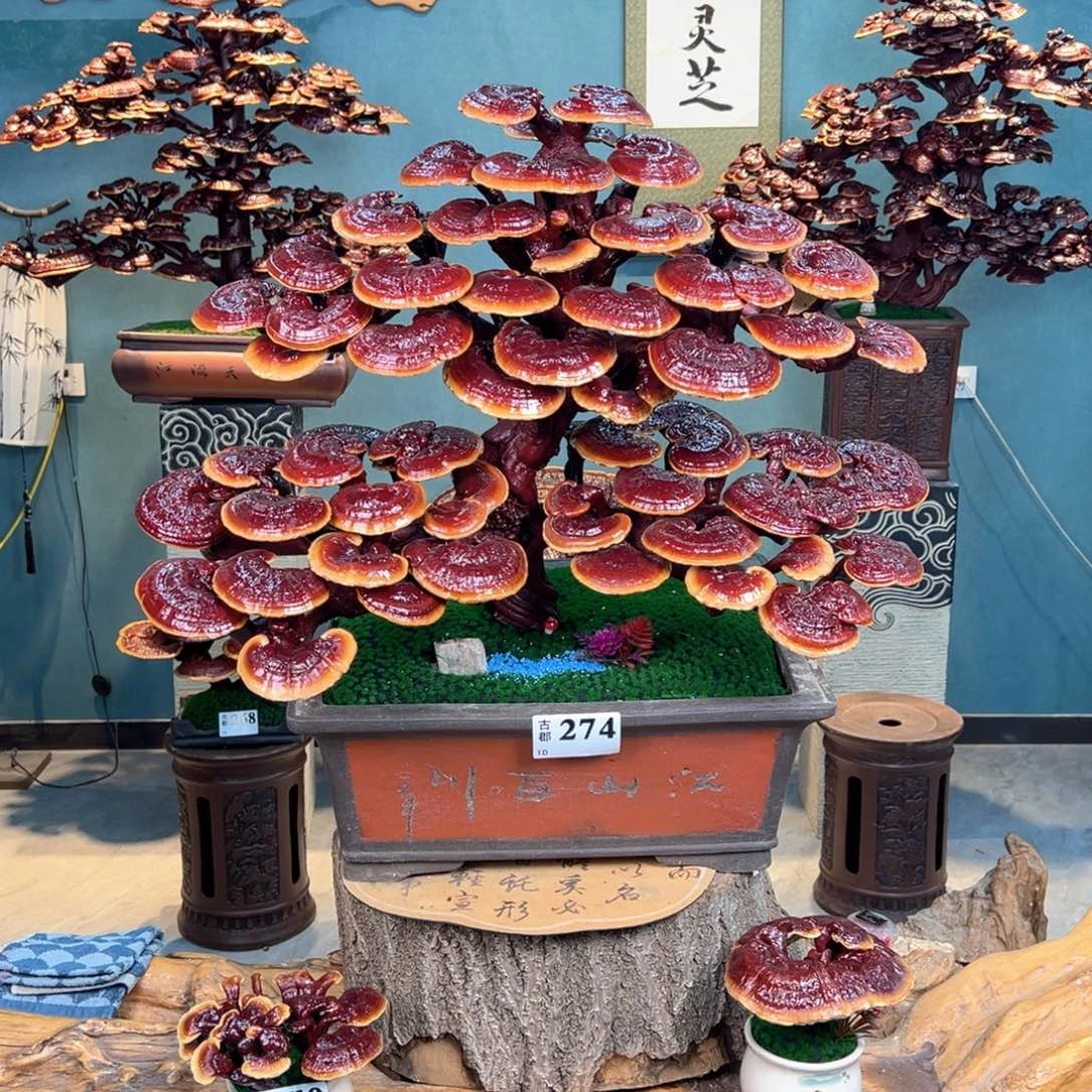 完全开放186788999999