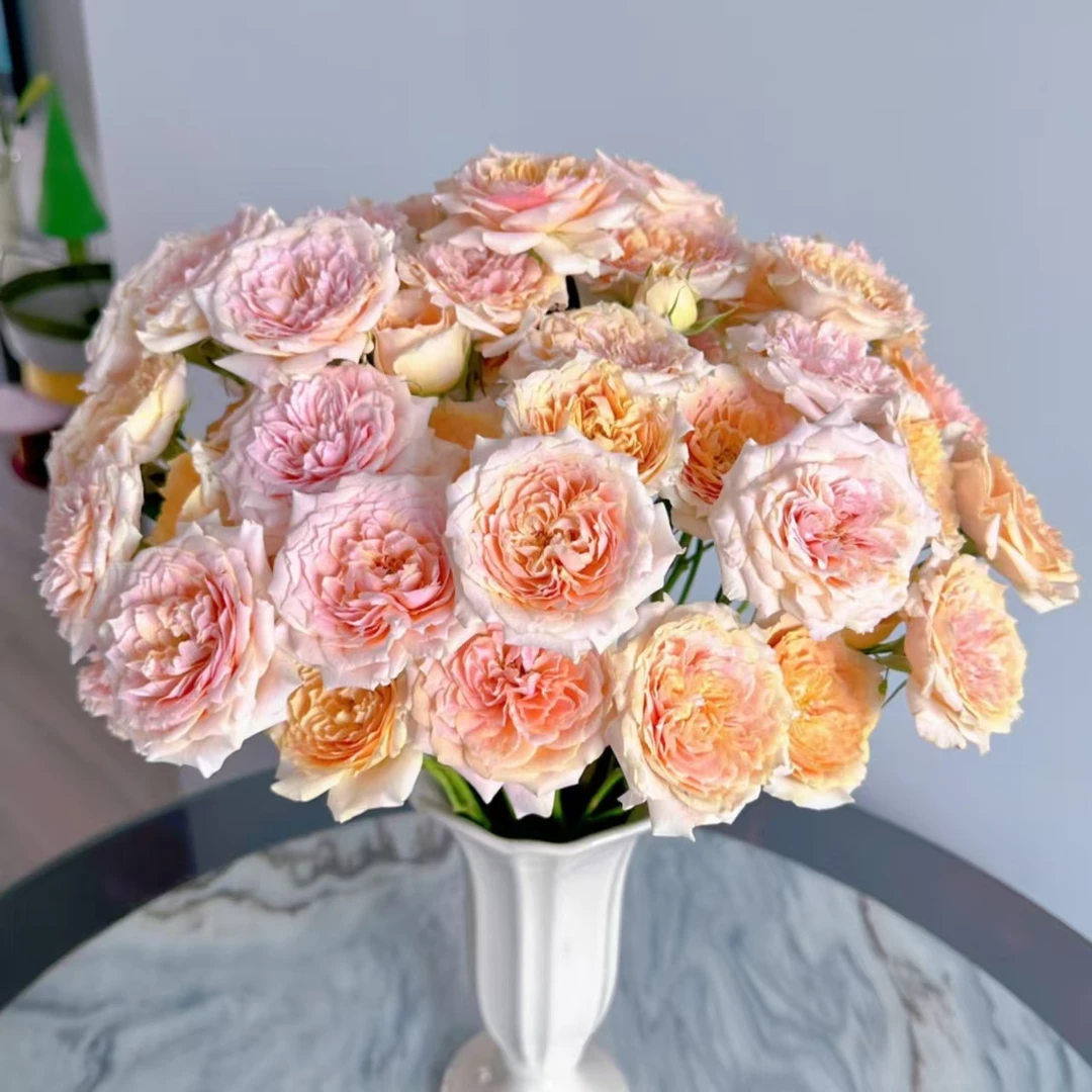 【杏色啦啦队】10枝多头玫瑰  基地直发 | 全场任意满两单鲜花包邮