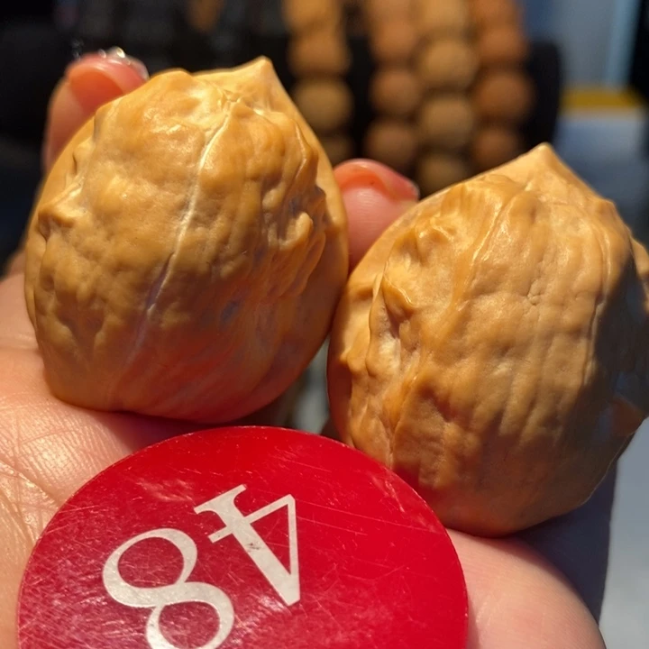 8号链接马头琴35尺寸
