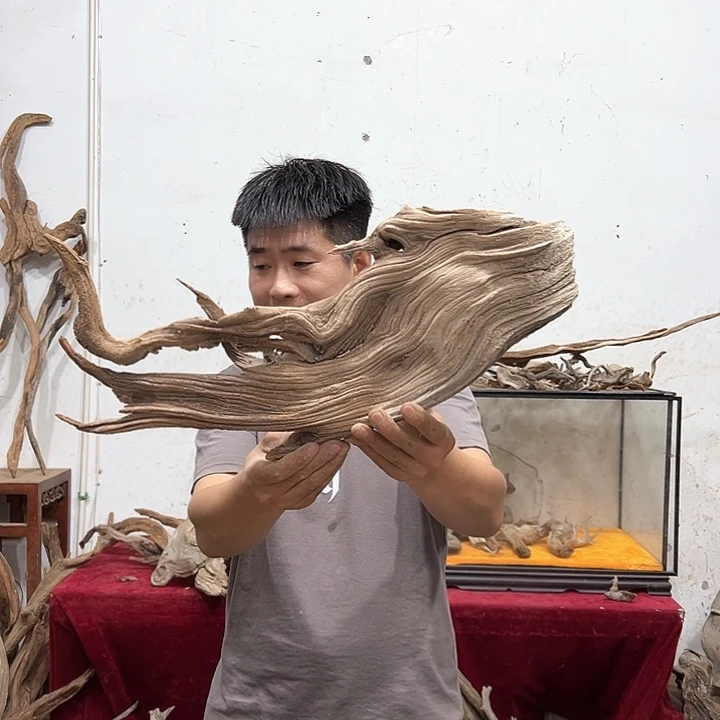 柏木崖***工我们都是好孩子呀我也是
