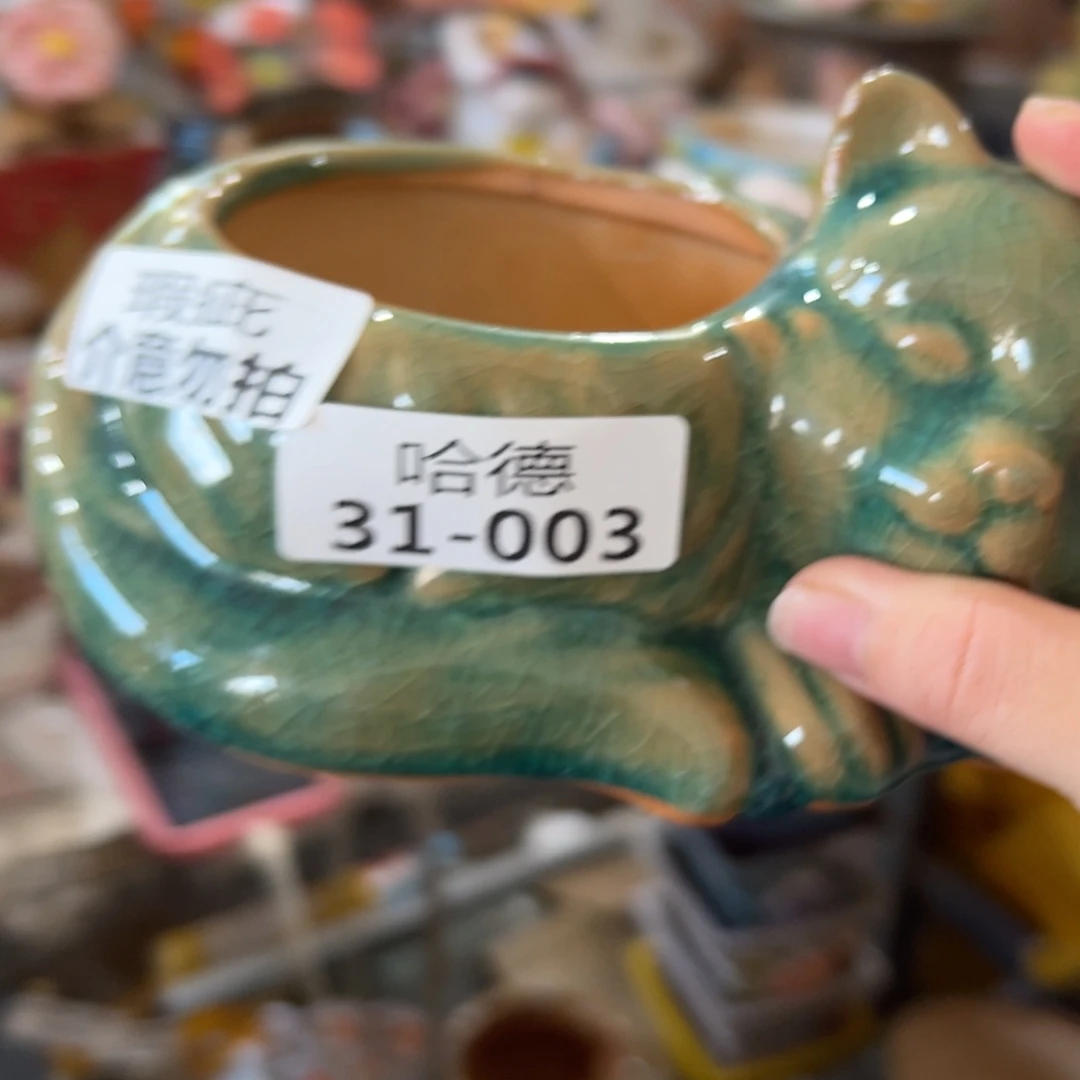 瑕疵3103 拍满18.8元发货 包邮