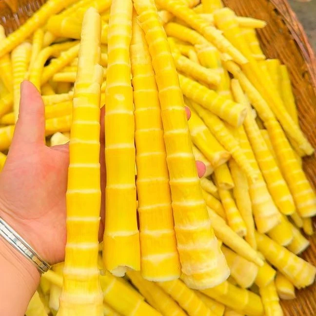 彝良小草坝新鲜竹笋三斤起邮