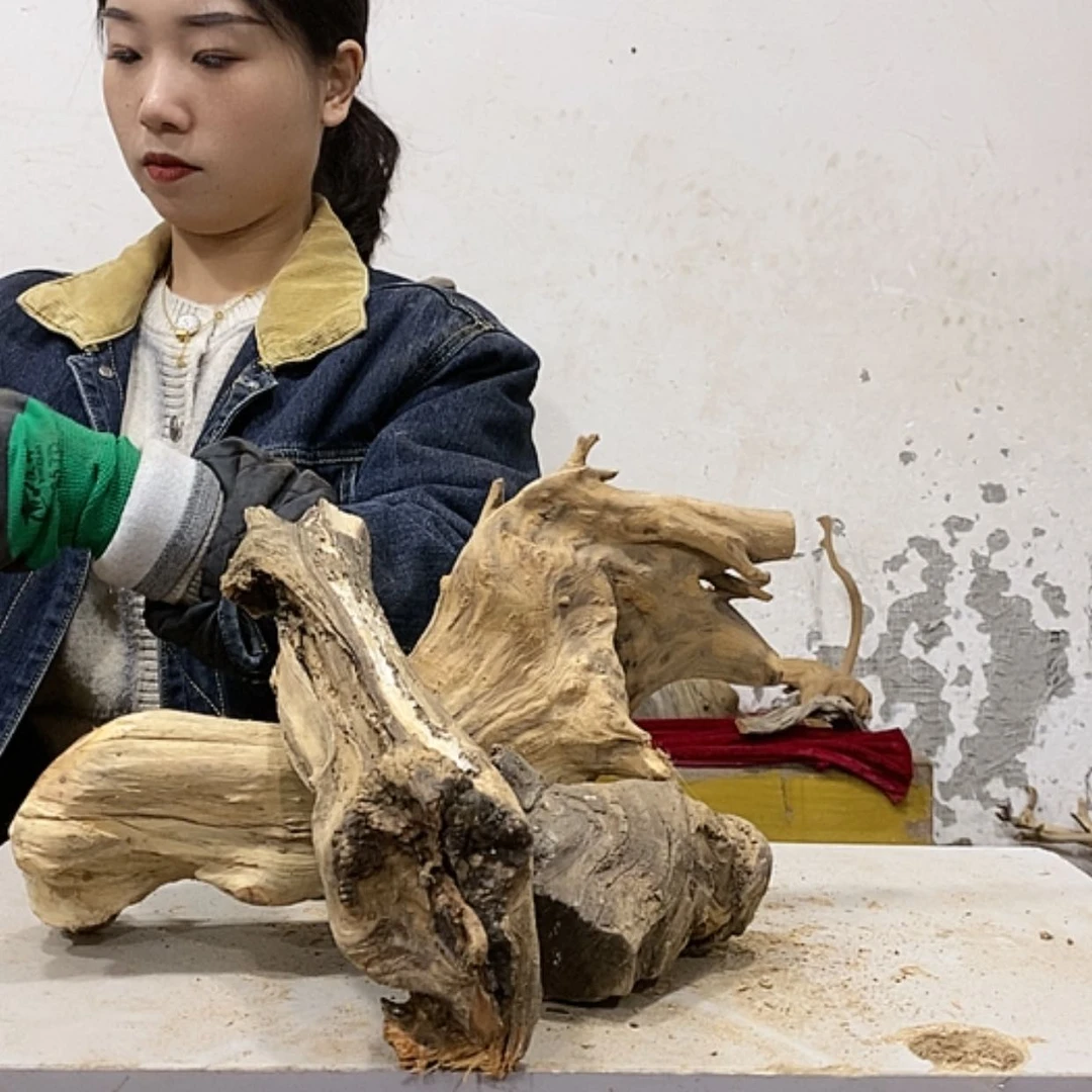 【闪购商品】柏木陈*我们都是好孩子