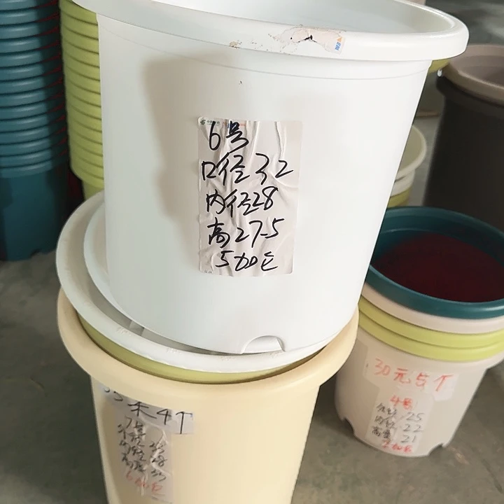 四季6#口径32白色10个无托