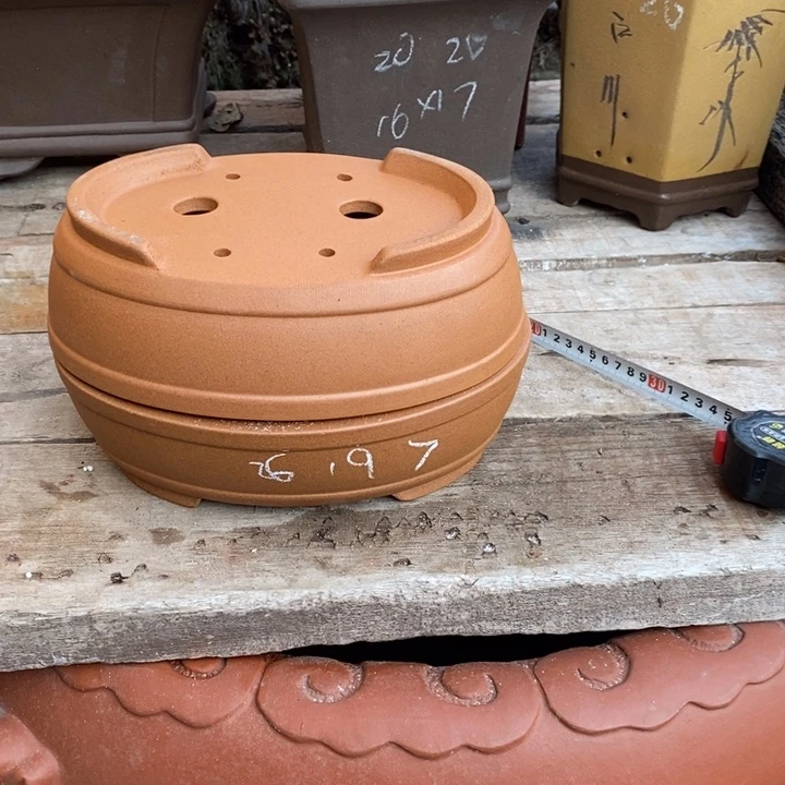 紫砂花盆个哈哈哈哈哈