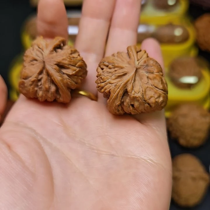 木质类文玩全品宫灯蛇9号