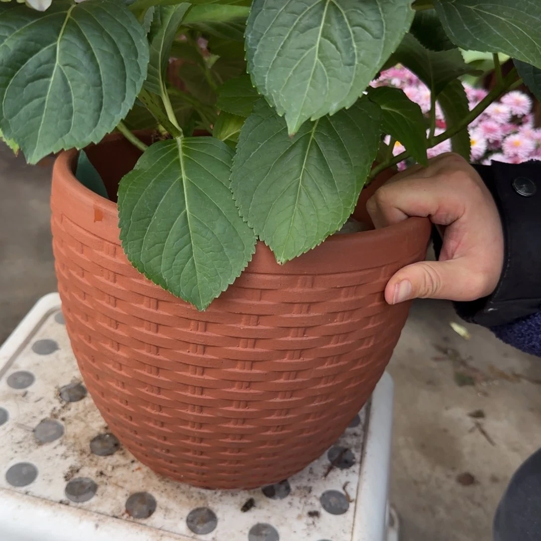 紫砂花盆口24高20宜兴紫砂