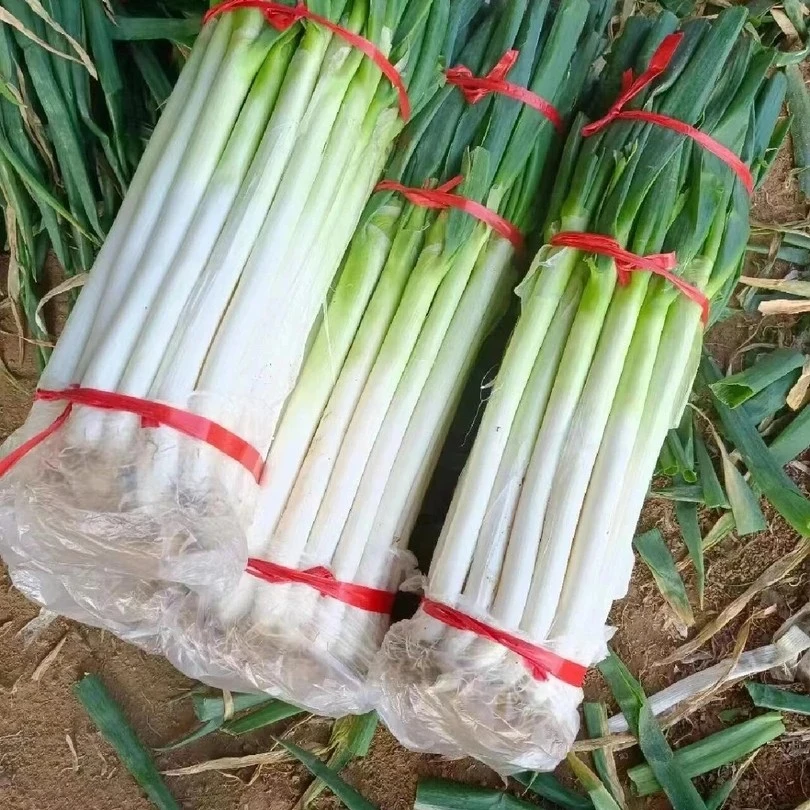 美味大葱一份约250g