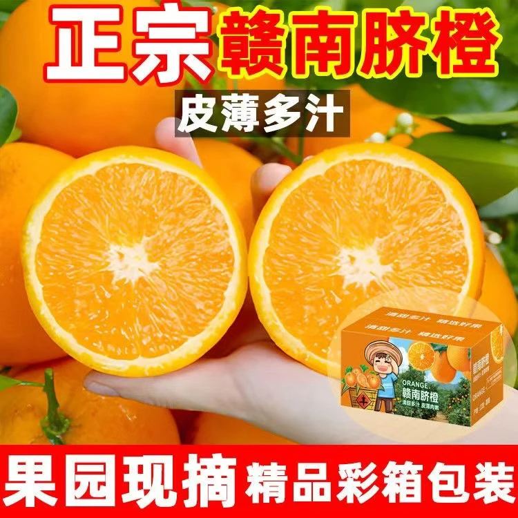 新鲜现摘赣南脐橙果园直发皮薄多汁甜橙子