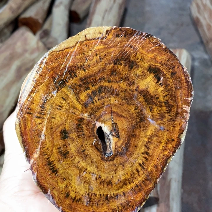 勤***丰花梨木类海南黄花梨