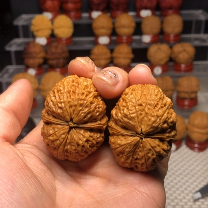 把件文玩核桃8食蚁兽