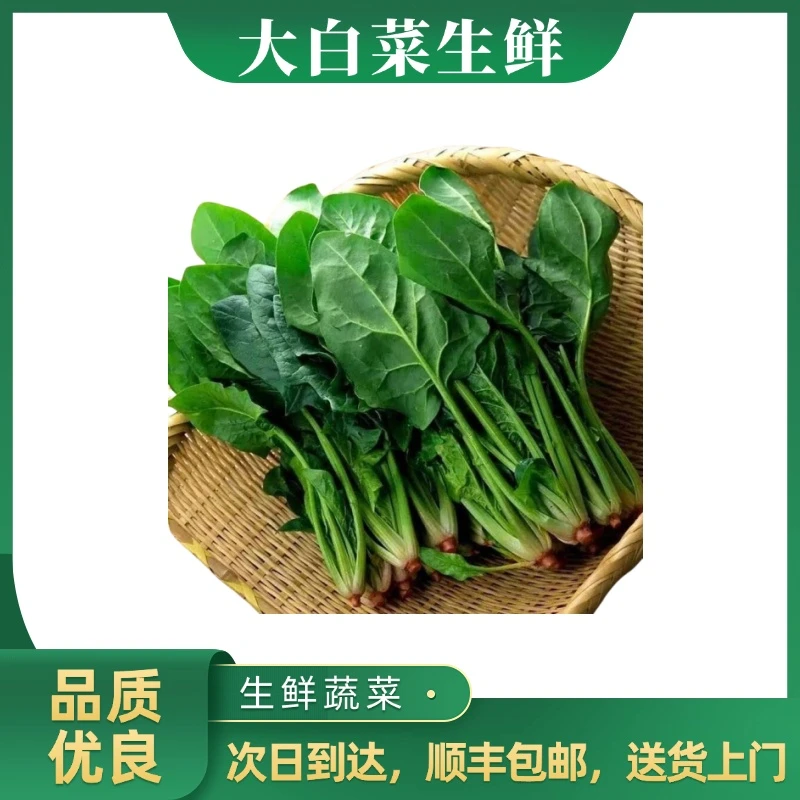 长梗菠菜400g±20g