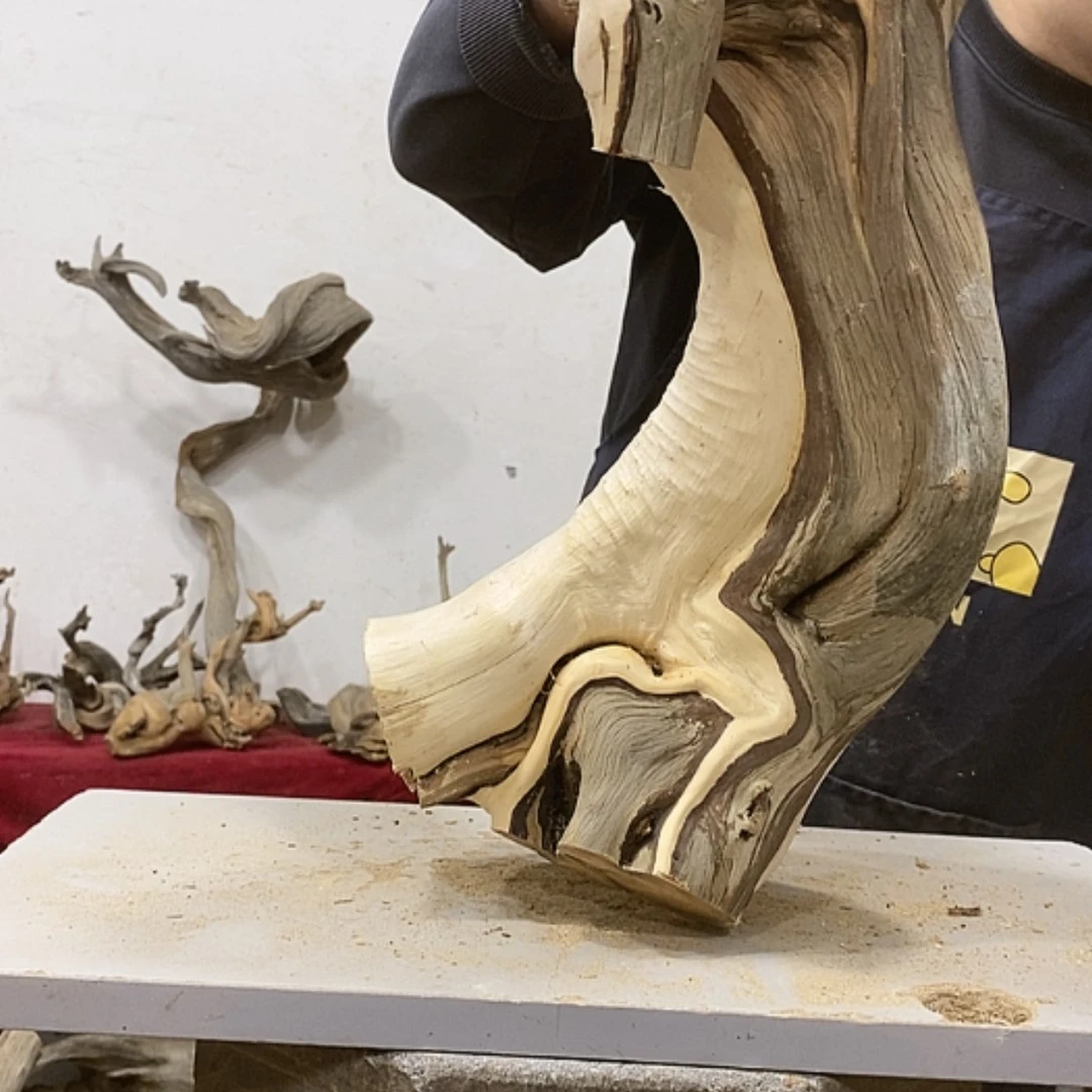 【闪购商品】柏木不****头我们都是好孩子