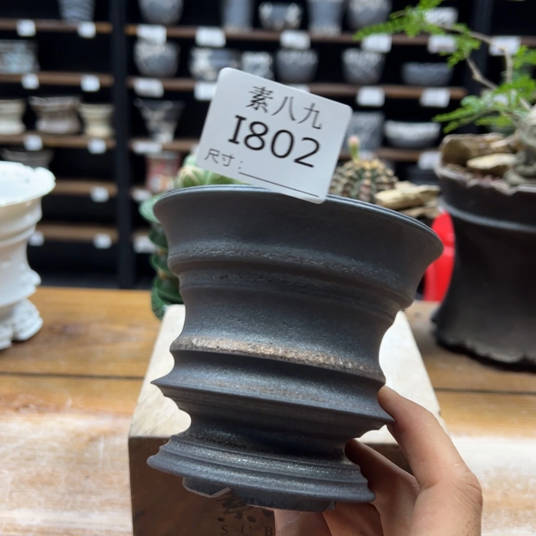 w***杭素八九陶瓷内口10高9.5