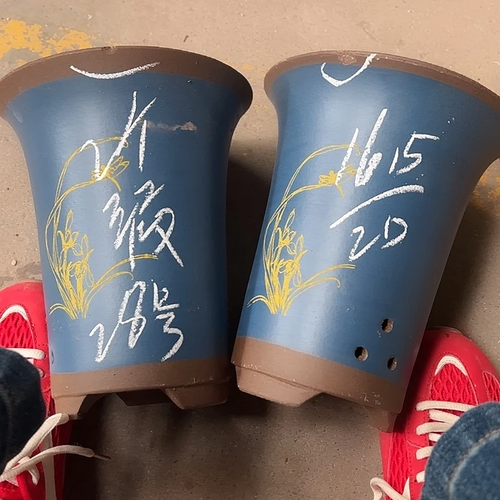 28………………………………………………