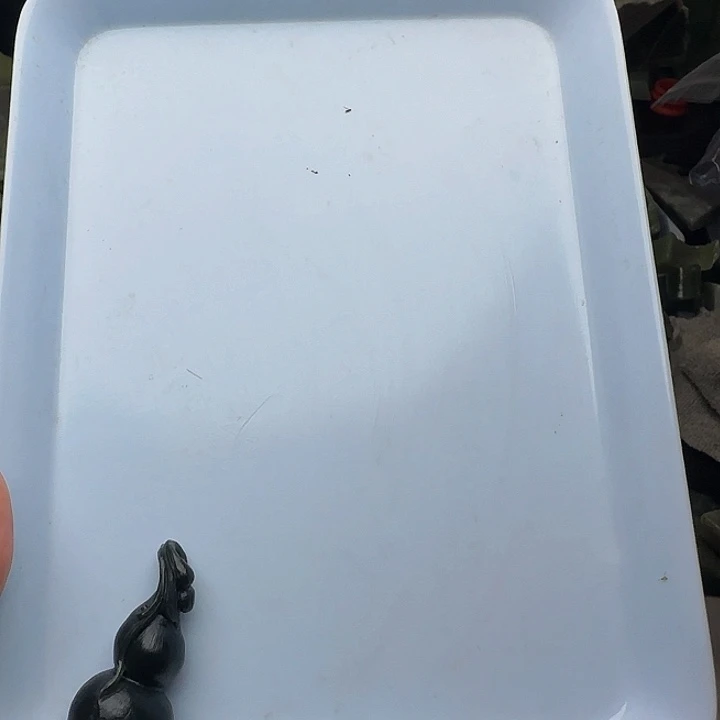 若***晴和田玉（糖玉）未镶嵌颈饰