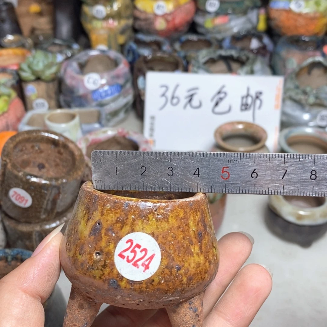 拍3送一个9.9拍5送一同款