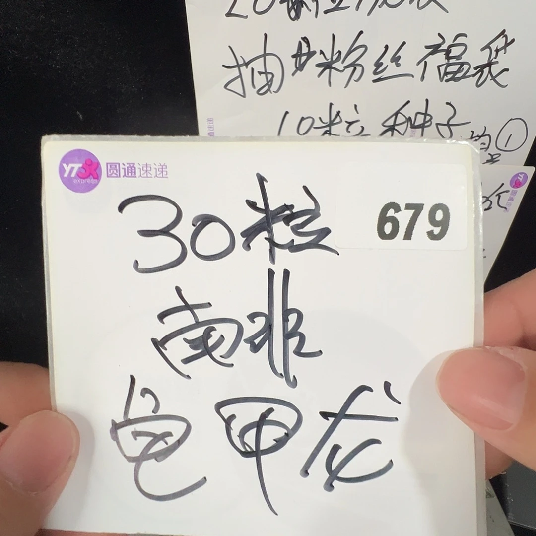 多肉植物专拍植物不退换 一物一拍 679