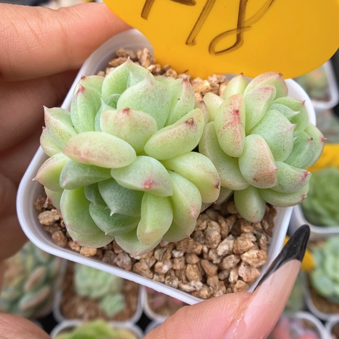 财富密码群生418号。